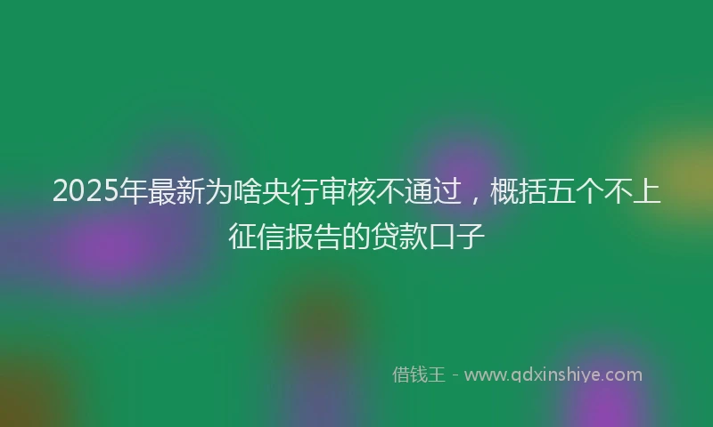 2025年最新为啥央行审核不通过，概括五个不上征信报告的贷款口子