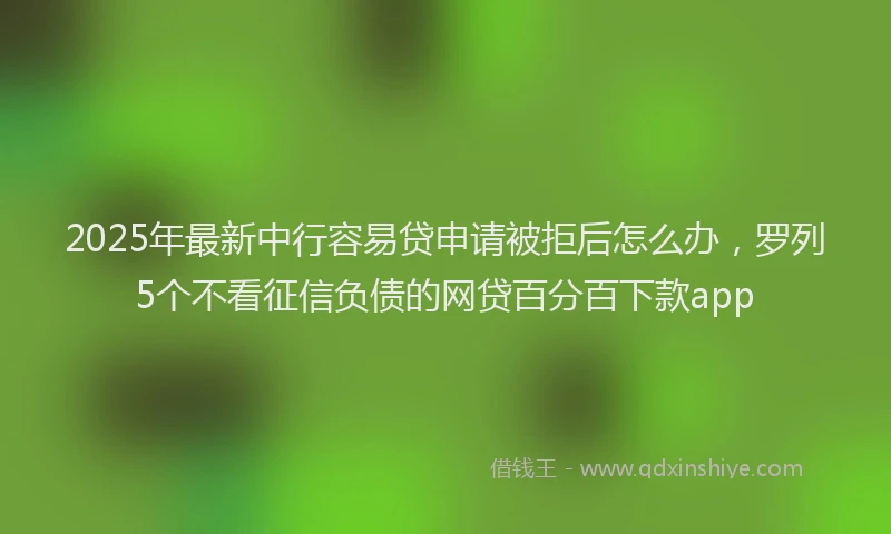 2025年最新中行容易贷申请被拒后怎么办，罗列5个不看征信负债的网贷百分百下款app