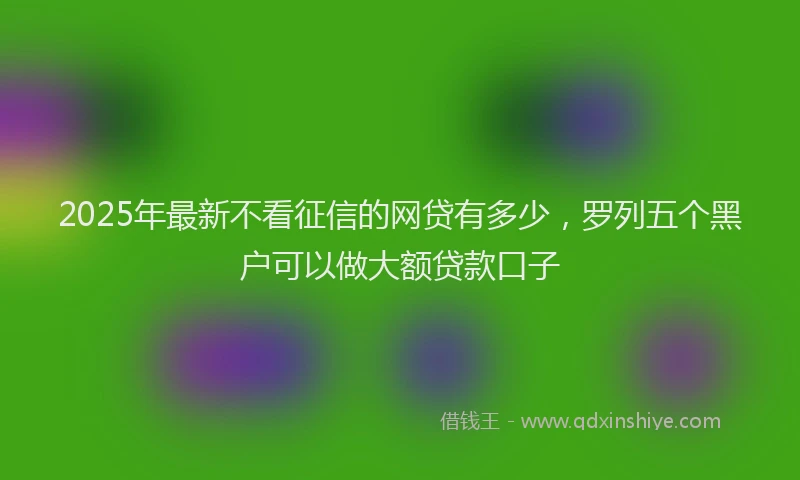 2025年最新不看征信的网贷有多少，罗列五个黑户可以做大额贷款口子