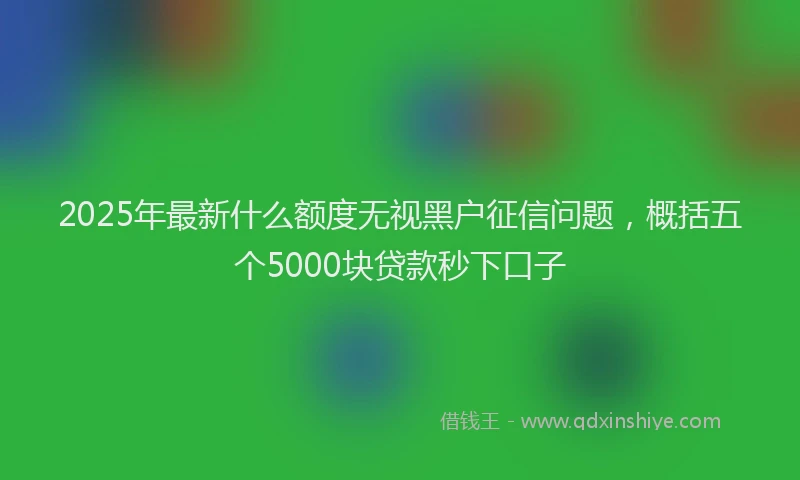 2025年最新什么额度无视黑户征信问题，概括五个5000块贷款秒下口子