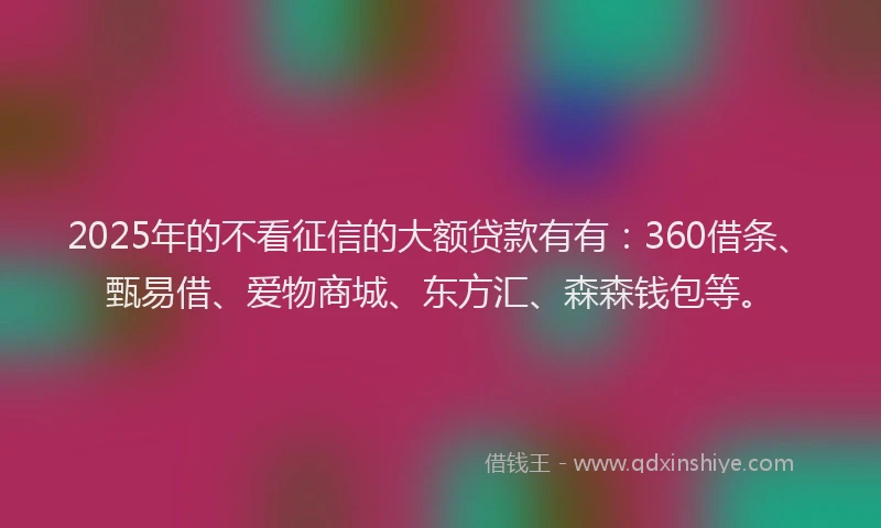 2025年的不看征信的大额贷款有有：360借条、甄易借、爱物商城、东方汇、森森钱包等。