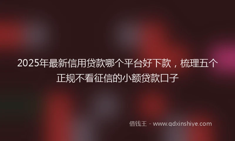 2025年最新信用贷款哪个平台好下款，梳理五个正规不看征信的小额贷款口子