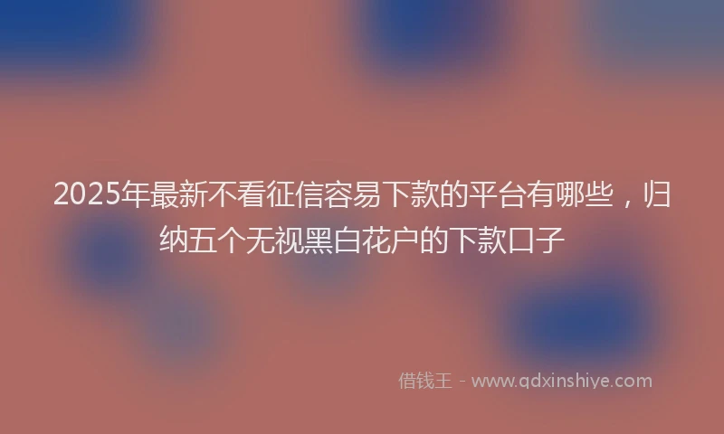 2025年最新不看征信容易下款的平台有哪些，归纳五个无视黑白花户的下款口子