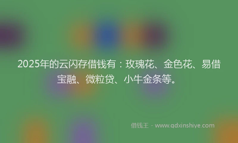 2025年的云闪存借钱有：玫瑰花、金色花、易借宝融、微粒贷、小牛金条等。