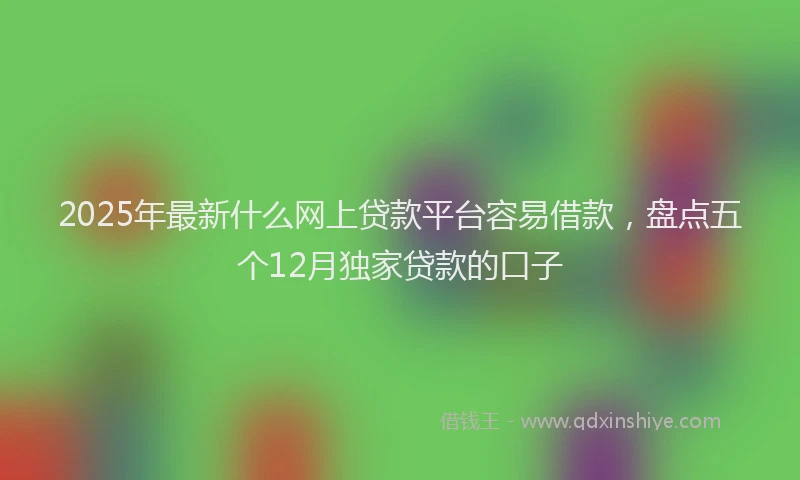 2025年最新什么网上贷款平台容易借款，盘点五个12月独家贷款的口子