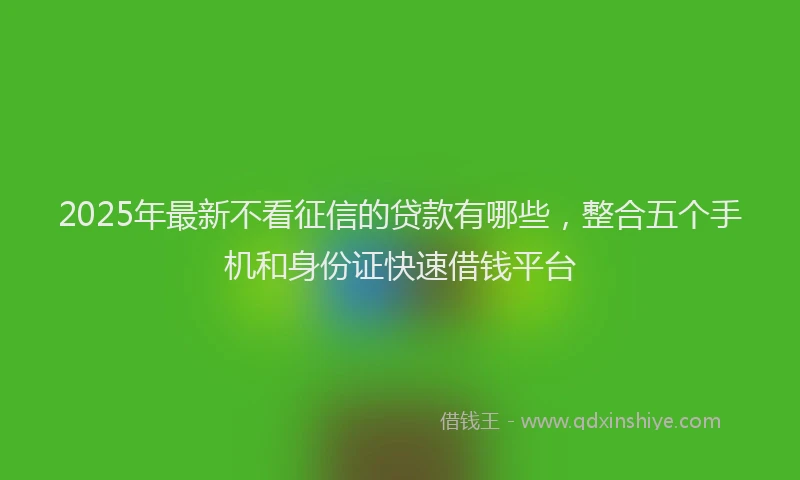 2025年最新不看征信的贷款有哪些，整合五个手机和身份证快速借钱平台