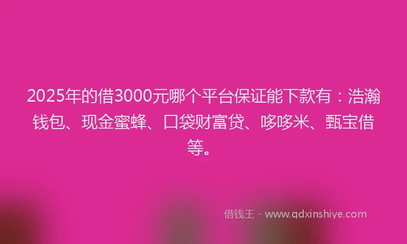 2025年的借3000元哪个平台保证能下款有：浩瀚钱包、现金蜜蜂、口袋财富贷、哆哆米、甄宝借等。