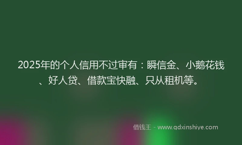 2025年的个人信用不过审有：瞬信金、小鹅花钱、好人贷、借款宝快融、只从租机等。
