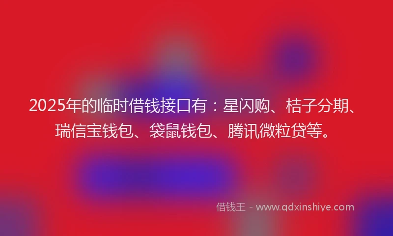 2025年的临时借钱接口有：星闪购、桔子分期、瑞信宝钱包、袋鼠钱包、腾讯微粒贷等。