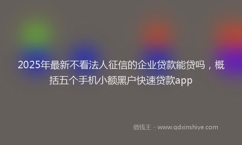 2025年最新不看法人征信的企业贷款能贷吗，概括五个手机小额黑户快速贷款app