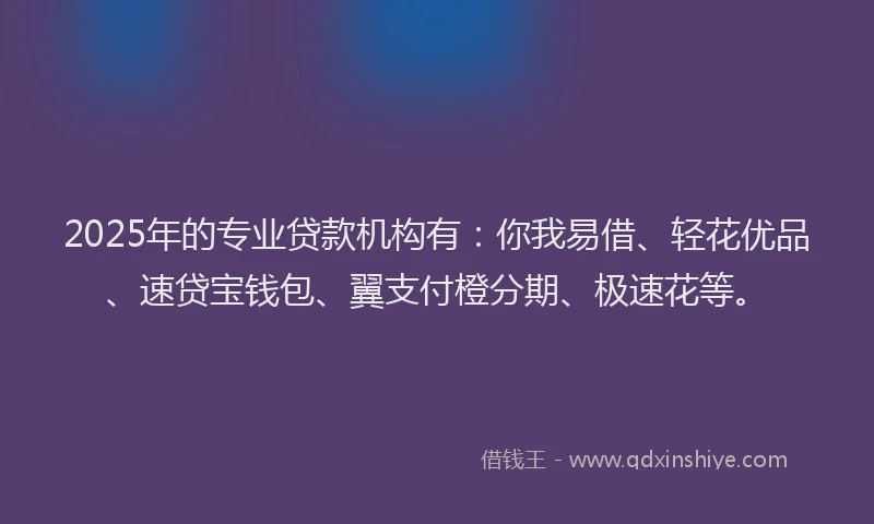 2025年的专业贷款机构有：你我易借、轻花优品、速贷宝钱包、翼支付橙分期、极速花等。