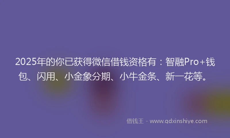 2025年的你已获得微信借钱资格有：智融Pro+钱包、闪用、小金象分期、小牛金条、新一花等。