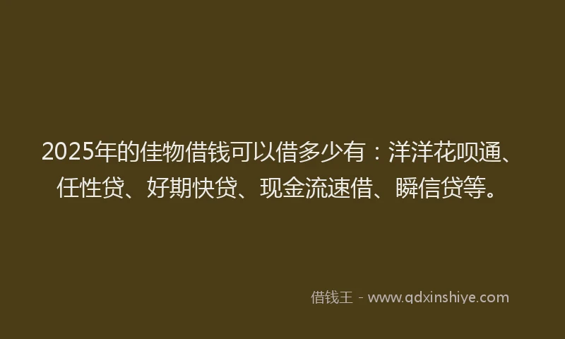 2025年的佳物借钱可以借多少有：洋洋花呗通、任性贷、好期快贷、现金流速借、瞬信贷等。