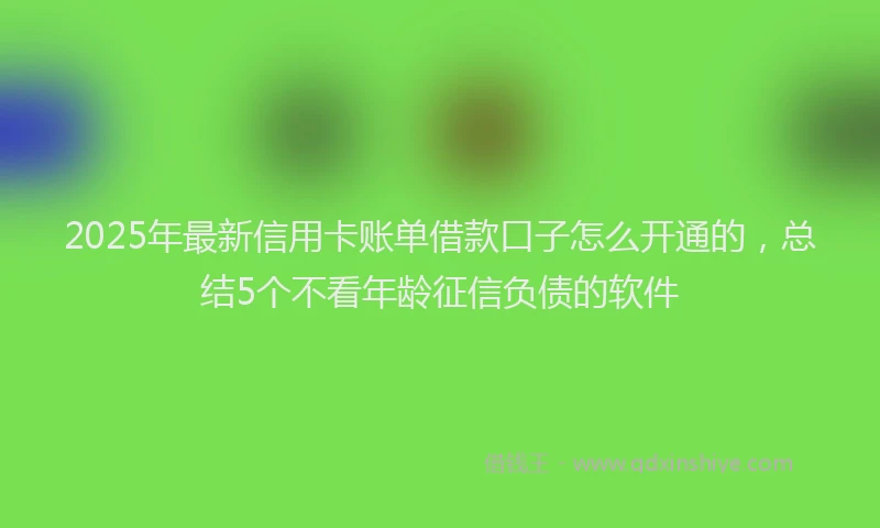 2025年最新信用卡账单借款口子怎么开通的，总结5个不看年龄征信负债的软件
