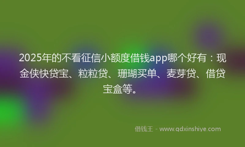 2025年的不看征信小额度借钱app哪个好有：现金侠快贷宝、粒粒贷、珊瑚买单、麦芽贷、借贷宝盒等。
