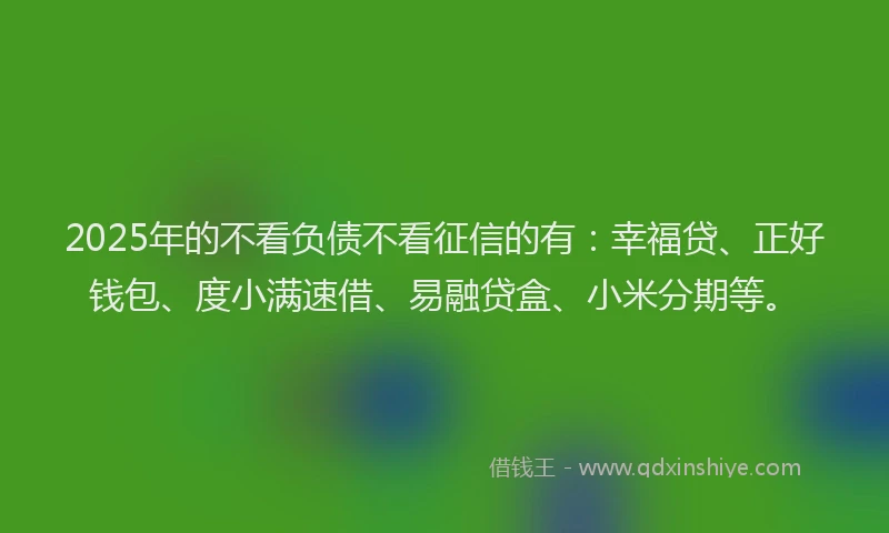 2025年的不看负债不看征信的有：幸福贷、正好钱包、度小满速借、易融贷盒、小米分期等。