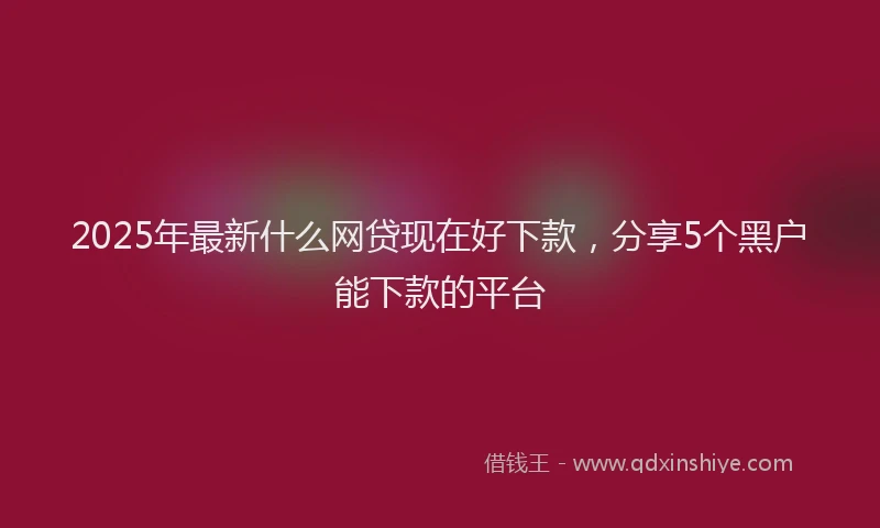 2025年最新什么网贷现在好下款，分享5个黑户能下款的平台