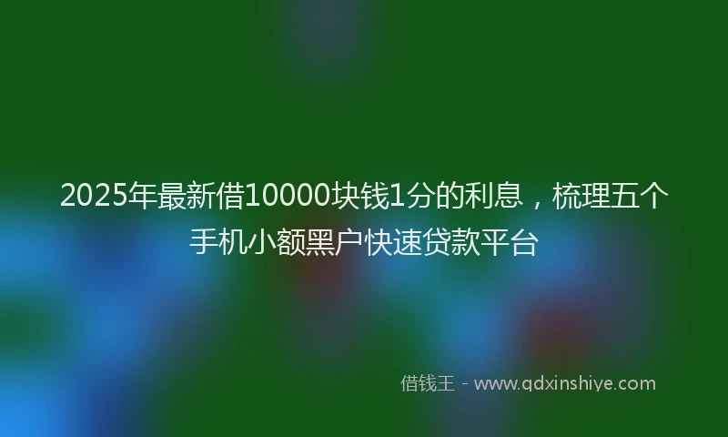 2025年最新借10000块钱1分的利息，梳理五个手机小额黑户快速贷款平台