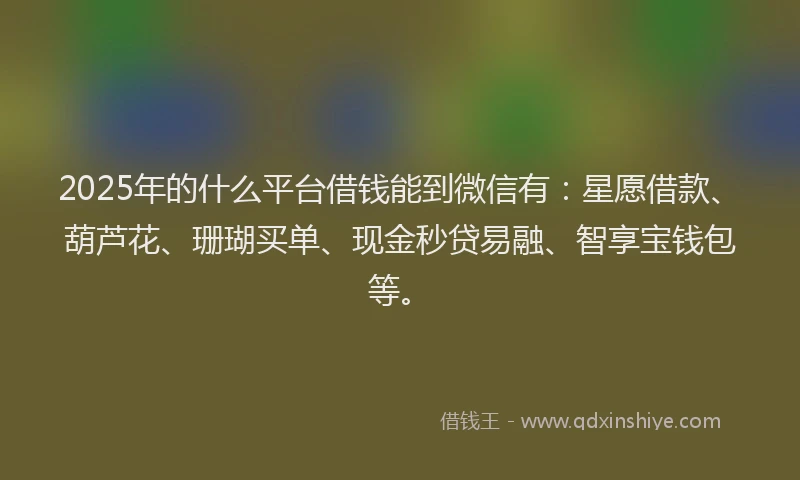 2025年的什么平台借钱能到微信有：星愿借款、葫芦花、珊瑚买单、现金秒贷易融、智享宝钱包等。