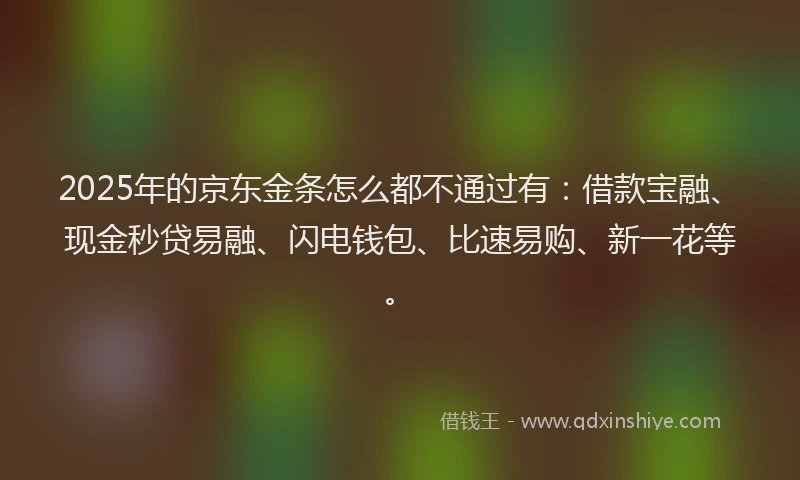 2025年的京东金条怎么都不通过有：借款宝融、现金秒贷易融、闪电钱包、比速易购、新一花等。