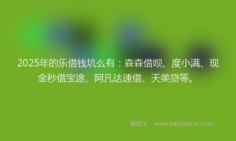 2025年的乐借钱坑么有：森森借呗、度小满、现金秒借宝途、阿凡达速借、天美贷等。