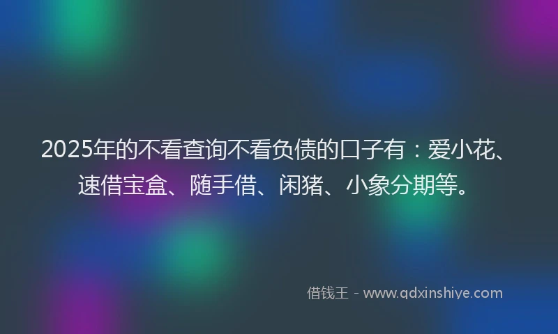 2025年的不看查询不看负债的口子有：爱小花、速借宝盒、随手借、闲猪、小象分期等。