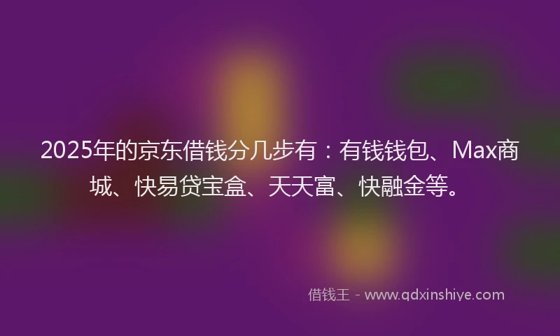 2025年的京东借钱分几步有：有钱钱包、Max商城、快易贷宝盒、天天富、快融金等。