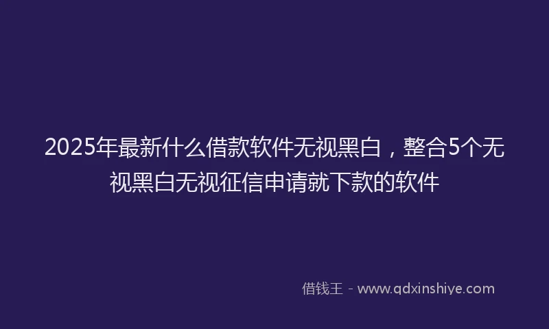 2025年最新什么借款软件无视黑白，整合5个无视黑白无视征信申请就下款的软件