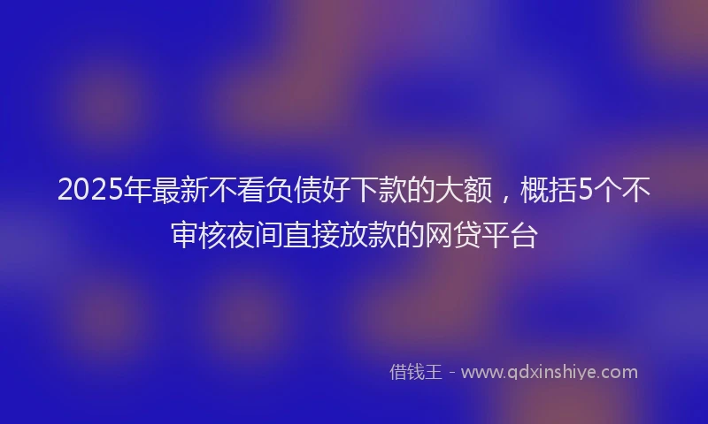 2025年最新不看负债好下款的大额，概括5个不审核夜间直接放款的网贷平台