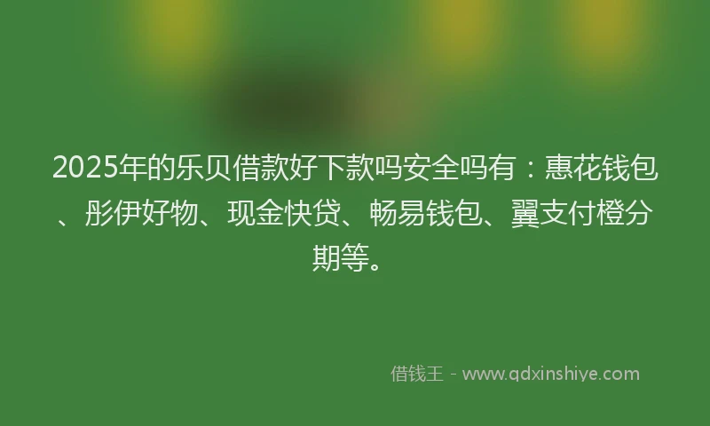 2025年的乐贝借款好下款吗安全吗有：惠花钱包、彤伊好物、现金快贷、畅易钱包、翼支付橙分期等。
