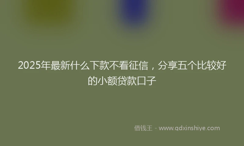 2025年最新什么下款不看征信，分享五个比较好的小额贷款口子