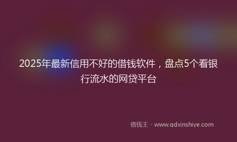 2025年最新信用不好的借钱软件，盘点5个看银行流水的网贷平台
