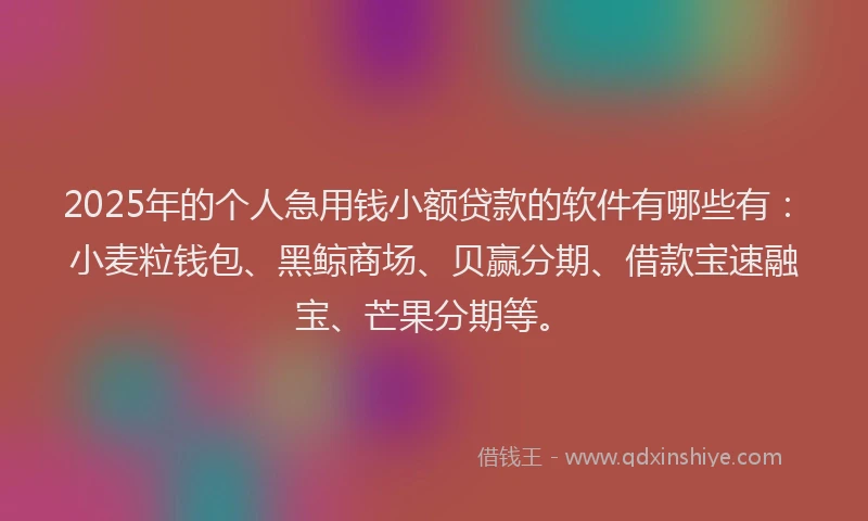 2025年的个人急用钱小额贷款的软件有哪些有：小麦粒钱包、黑鲸商场、贝赢分期、借款宝速融宝、芒果分期等。