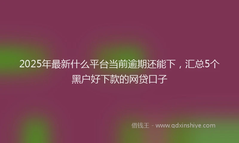 2025年最新什么平台当前逾期还能下，汇总5个黑户好下款的网贷口子