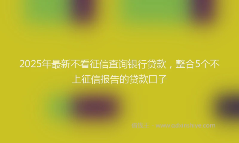 2025年最新不看征信查询银行贷款，整合5个不上征信报告的贷款口子