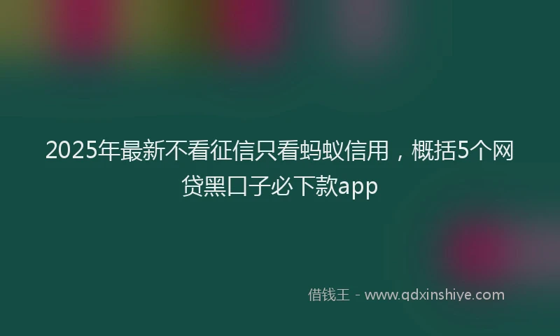 2025年最新不看征信只看蚂蚁信用，概括5个网贷黑口子必下款app