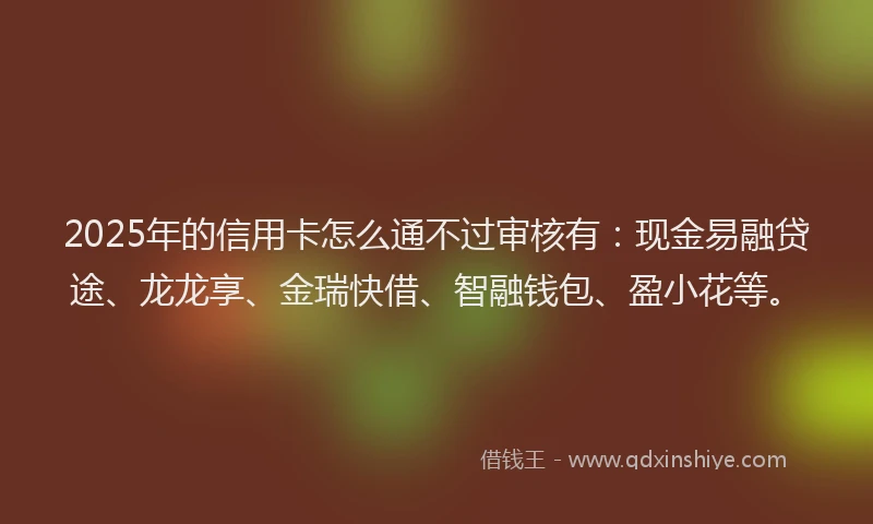 2025年的信用卡怎么通不过审核有：现金易融贷途、龙龙享、金瑞快借、智融钱包、盈小花等。