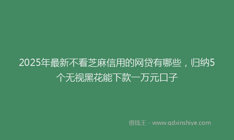 2025年最新不看芝麻信用的网贷有哪些，归纳5个无视黑花能下款一万元口子