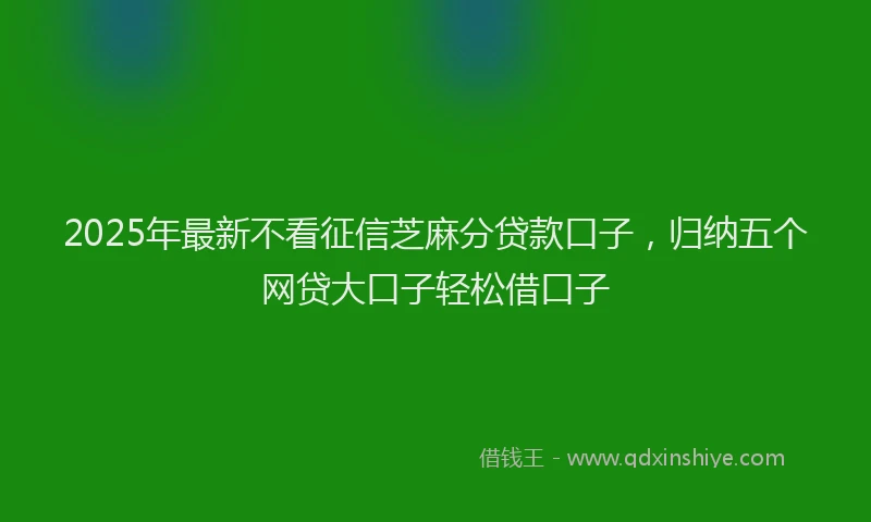 2025年最新不看征信芝麻分贷款口子，归纳五个网贷大口子轻松借口子