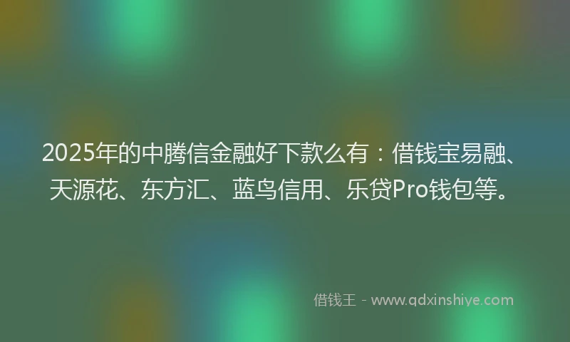 2025年的中腾信金融好下款么有：借钱宝易融、天源花、东方汇、蓝鸟信用、乐贷Pro钱包等。