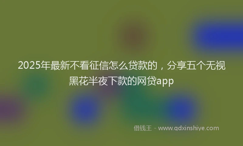 2025年最新不看征信怎么贷款的，分享五个无视黑花半夜下款的网贷app