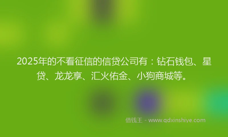 2025年的不看征信的信贷公司有：钻石钱包、星贷、龙龙享、汇火佑金、小狗商城等。