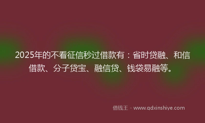 2025年的不看征信秒过借款有：省时贷融、和信借款、分子贷宝、融信贷、钱袋易融等。