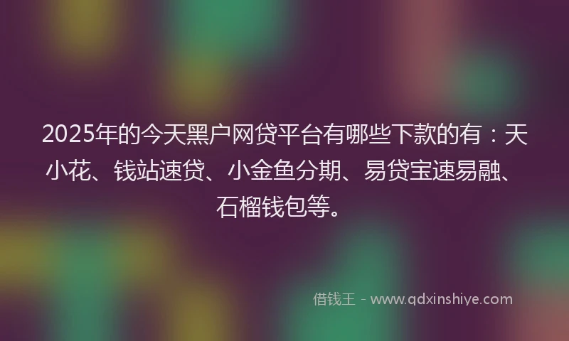2025年的今天黑户网贷平台有哪些下款的有：天小花、钱站速贷、小金鱼分期、易贷宝速易融、石榴钱包等。