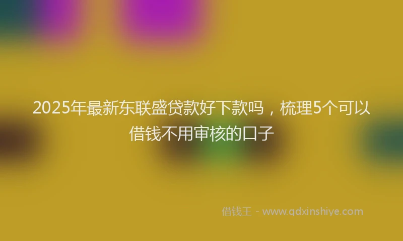 2025年最新东联盛贷款好下款吗，梳理5个可以借钱不用审核的口子