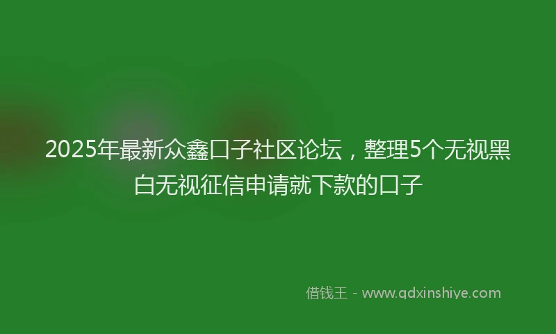 2025年最新众鑫口子社区论坛，整理5个无视黑白无视征信申请就下款的口子