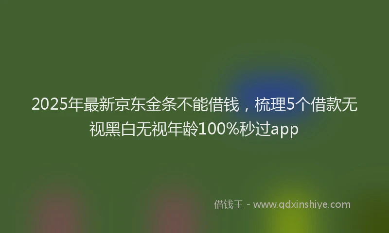 2025年最新京东金条不能借钱，梳理5个借款无视黑白无视年龄100%秒过app