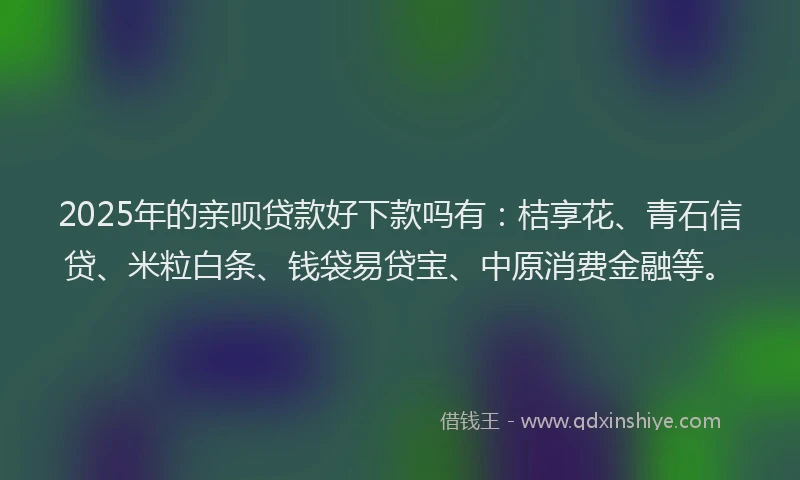 2025年的亲呗贷款好下款吗有：桔享花、青石信贷、米粒白条、钱袋易贷宝、中原消费金融等。