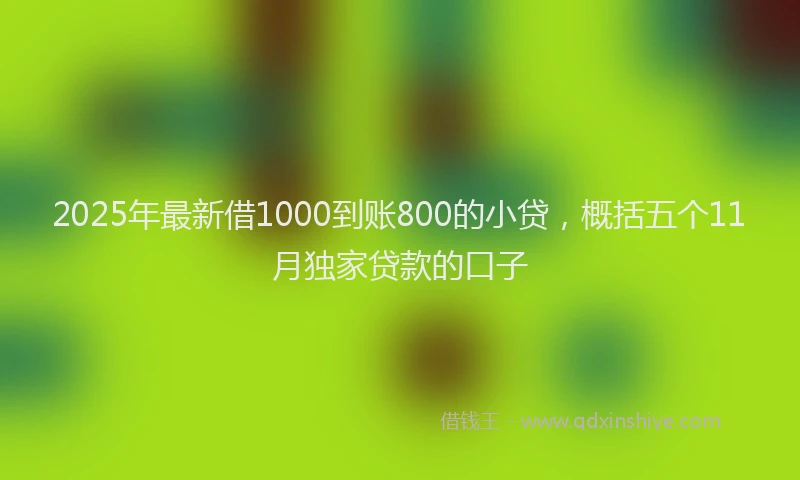 2025年最新借1000到账800的小贷，概括五个11月独家贷款的口子