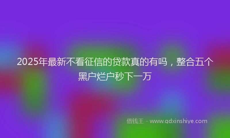 2025年最新不看征信的贷款真的有吗，整合五个黑户烂户秒下一万